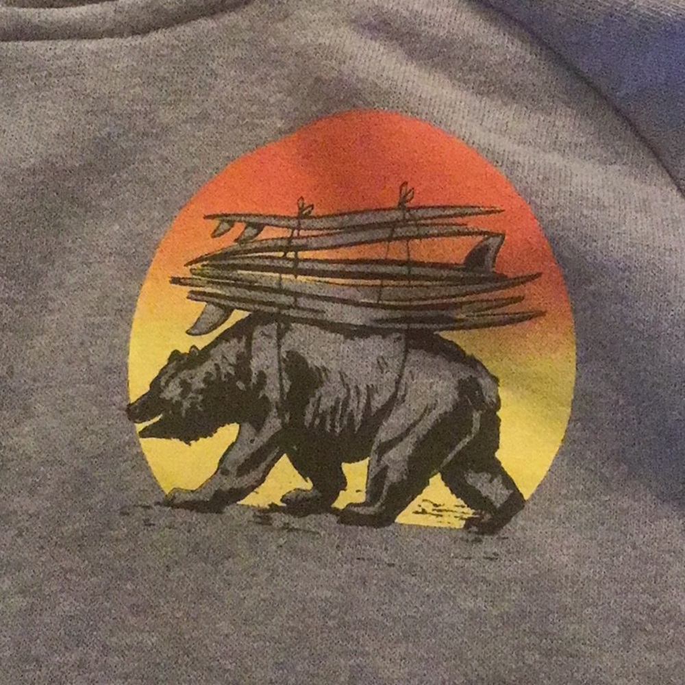 Hoodie with bear and surf board
